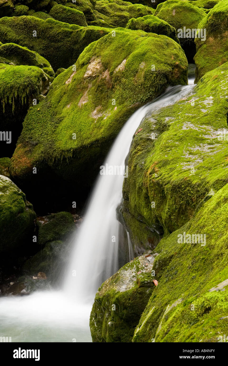 Forest waterfall on green rocks, Zeleni vir in Croatia, Europe Stock Photo