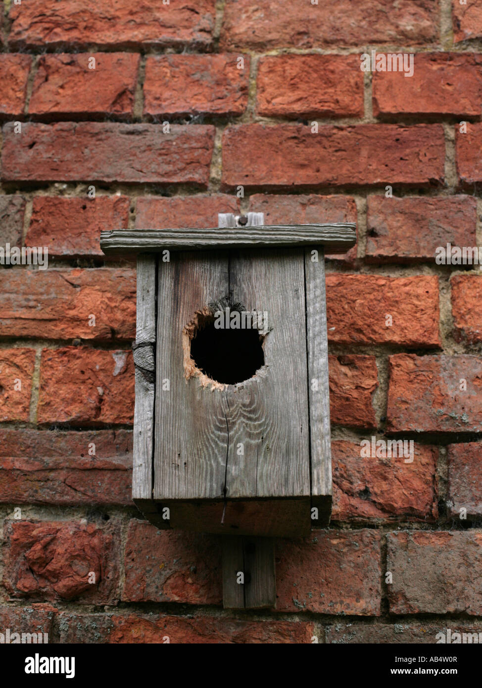A birdbox with an extra large hole, as if a bird has been putting on weight. Stock Photo