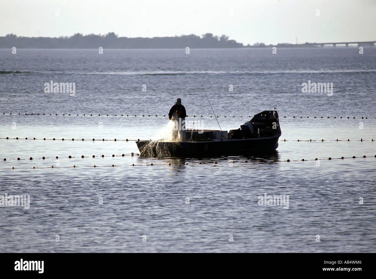 Net fishing on Tampa Bay Florida FL for a livelihood Stock Photo