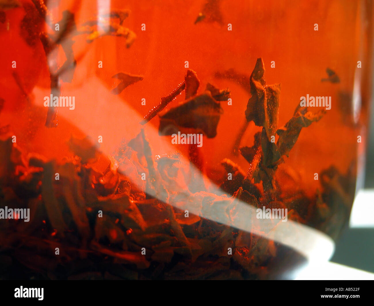 preparing the tea Stock Photo - Alamy