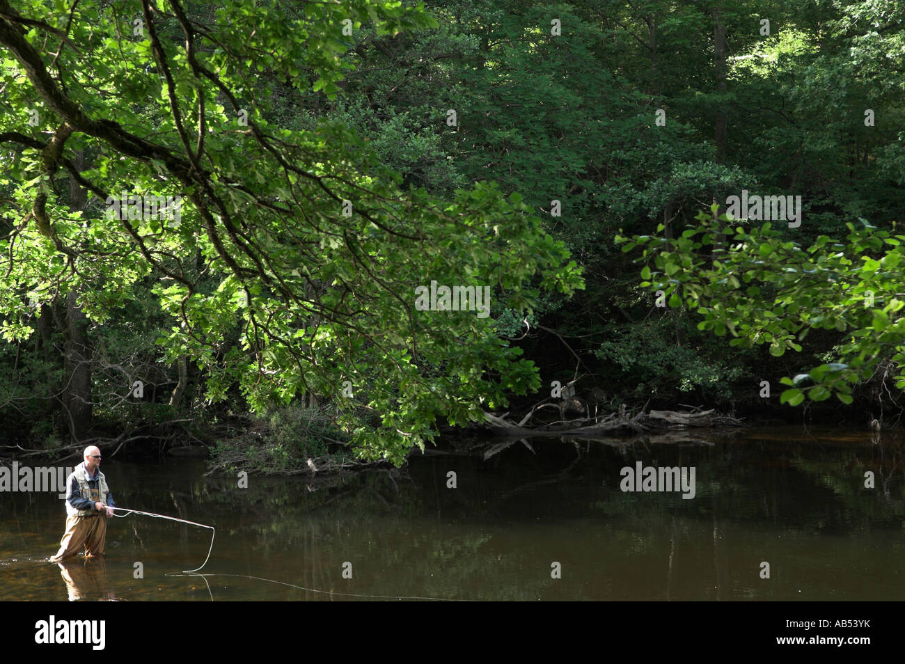 Fly fishing. Sweden Stock Photo - Alamy