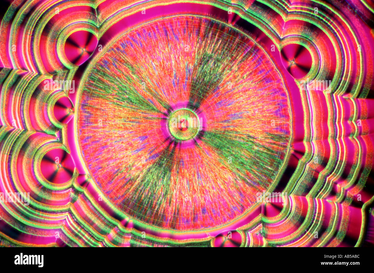 Crystals of Ascorbic Acid from aq soln Spikeberg Illumination Stock