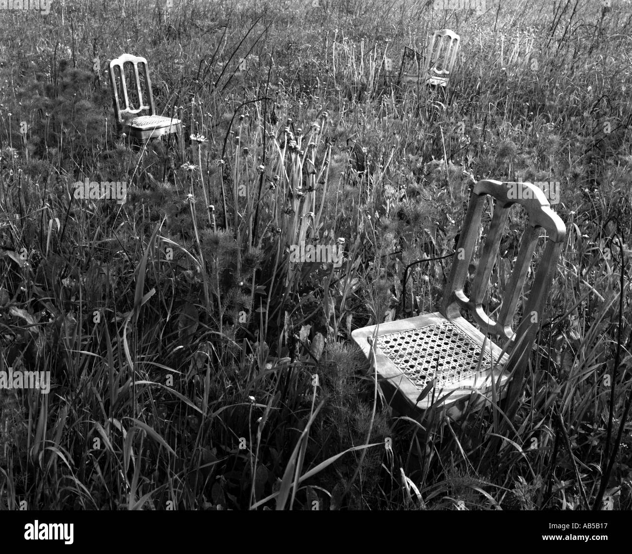 3 wooden chairs in a grass field Stock Photo Alamy