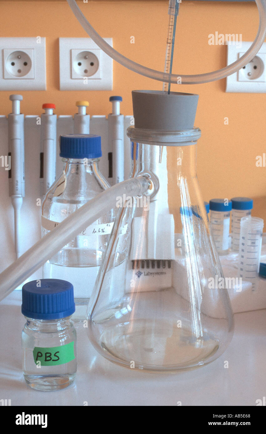 Immunological research laboratory hires stock photography and images