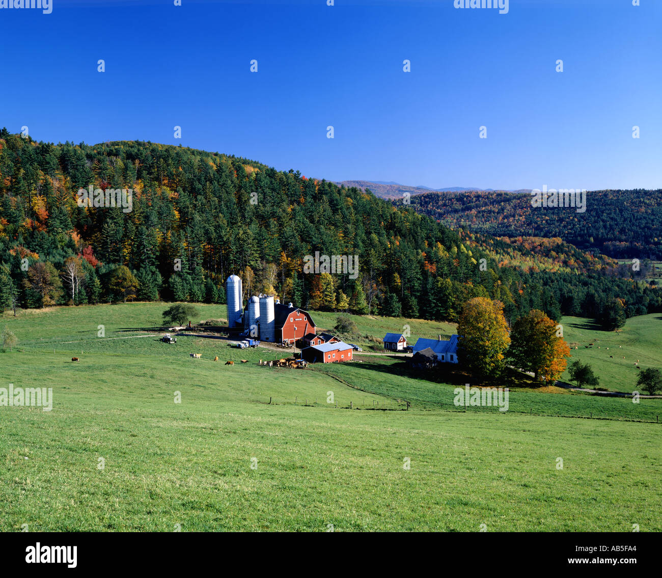 Vermont dairy farm hires stock photography and images Alamy