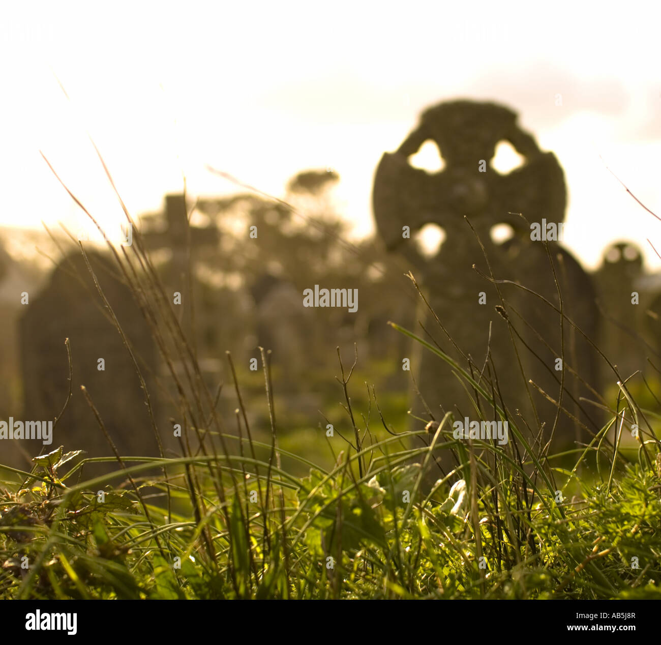 Celtic cross in Cornish graveyard Stock Photo