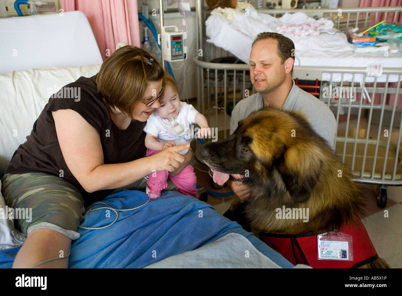 A mom and her infant daughter patient at a childrens hospital are entertained by a specially trained 'therapy dog.' Stock Photo