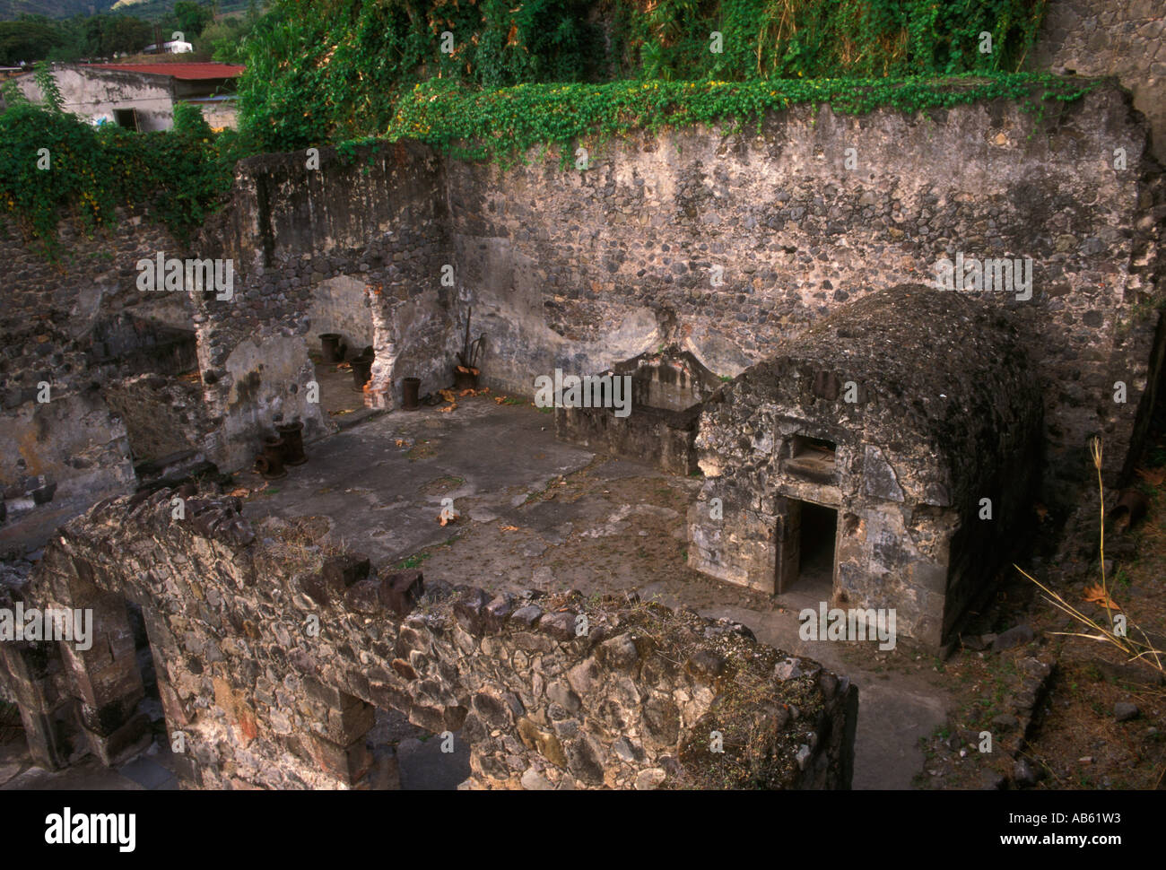 Cell Of The Sole Survivor May 8 1902 Eruption Of Mount