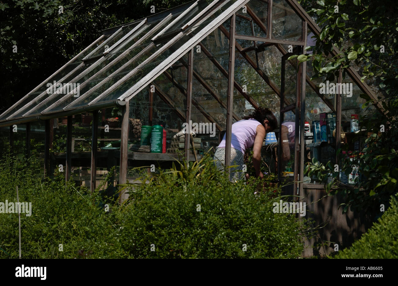 English greenhouse hi-res stock photography and images - Alamy
