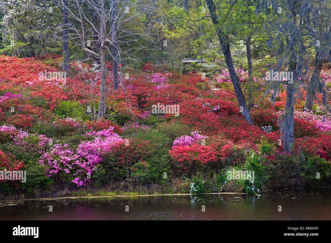 Middleton Place Plantation and its Gardens near Charleston in South