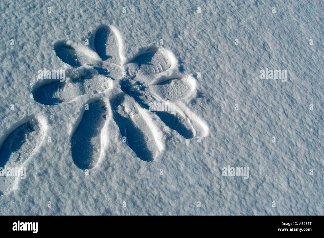 Snow footprints create a flower in crisp snow Stock Photo