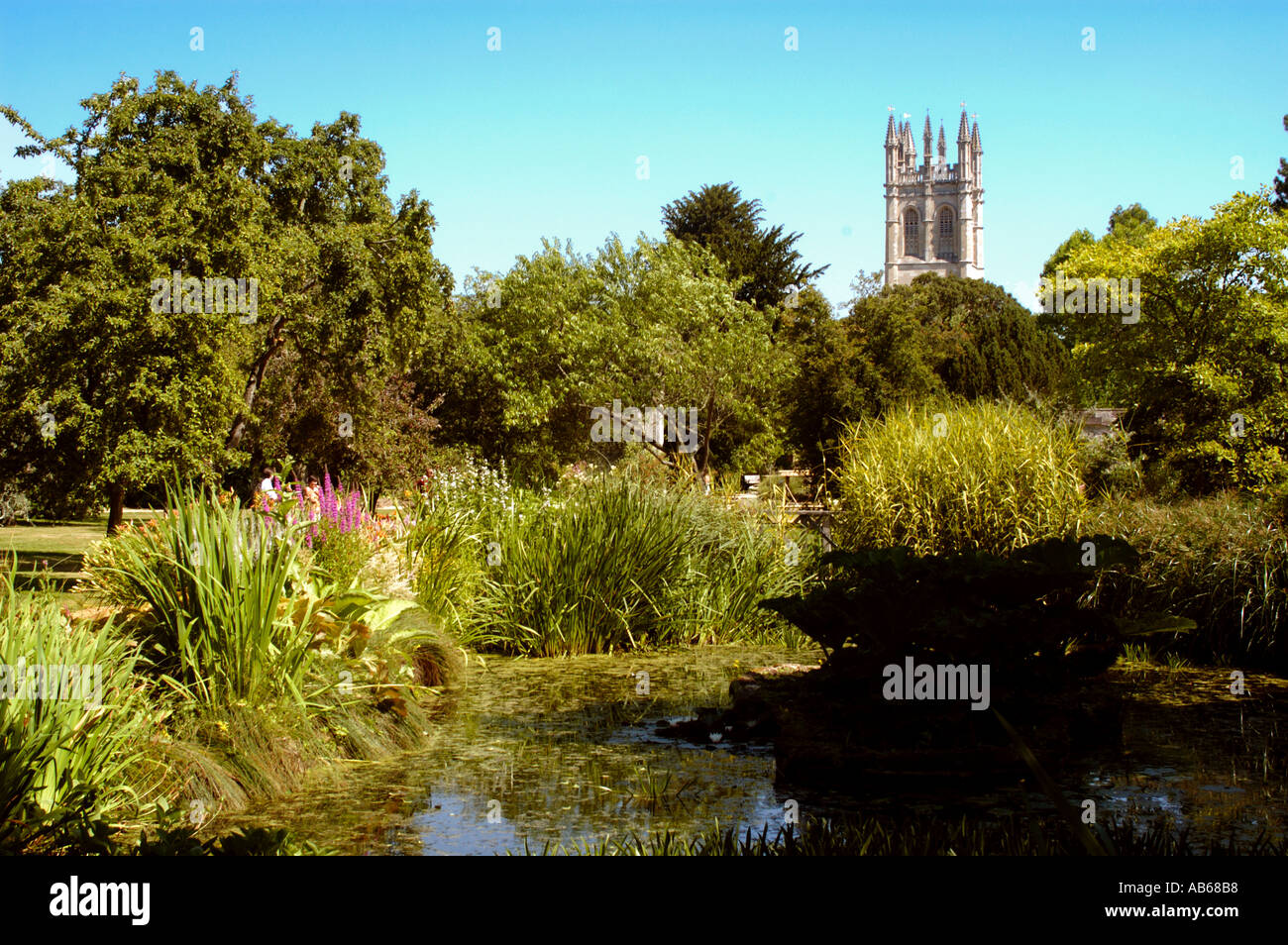 Botanic Gardens Oxford England Stock Photo