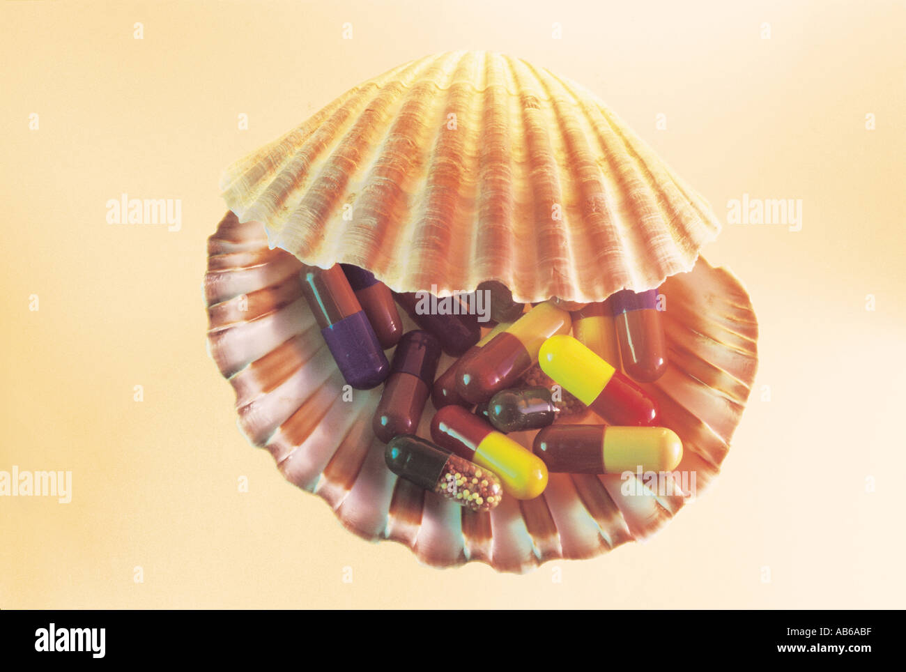 Shell relief hi-res stock photography and images - Alamy