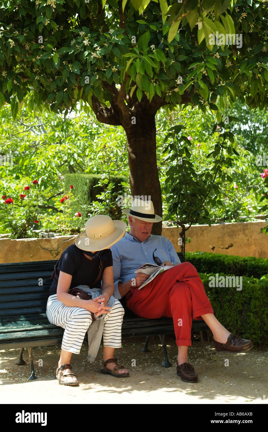 Man sitting under tree reading hi-res stock photography and images - Alamy