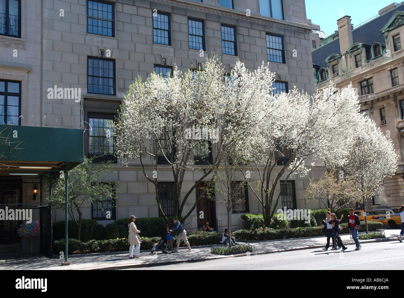 Fifth Avenue uptown Manhattan apartment building Stock Photo Alamy