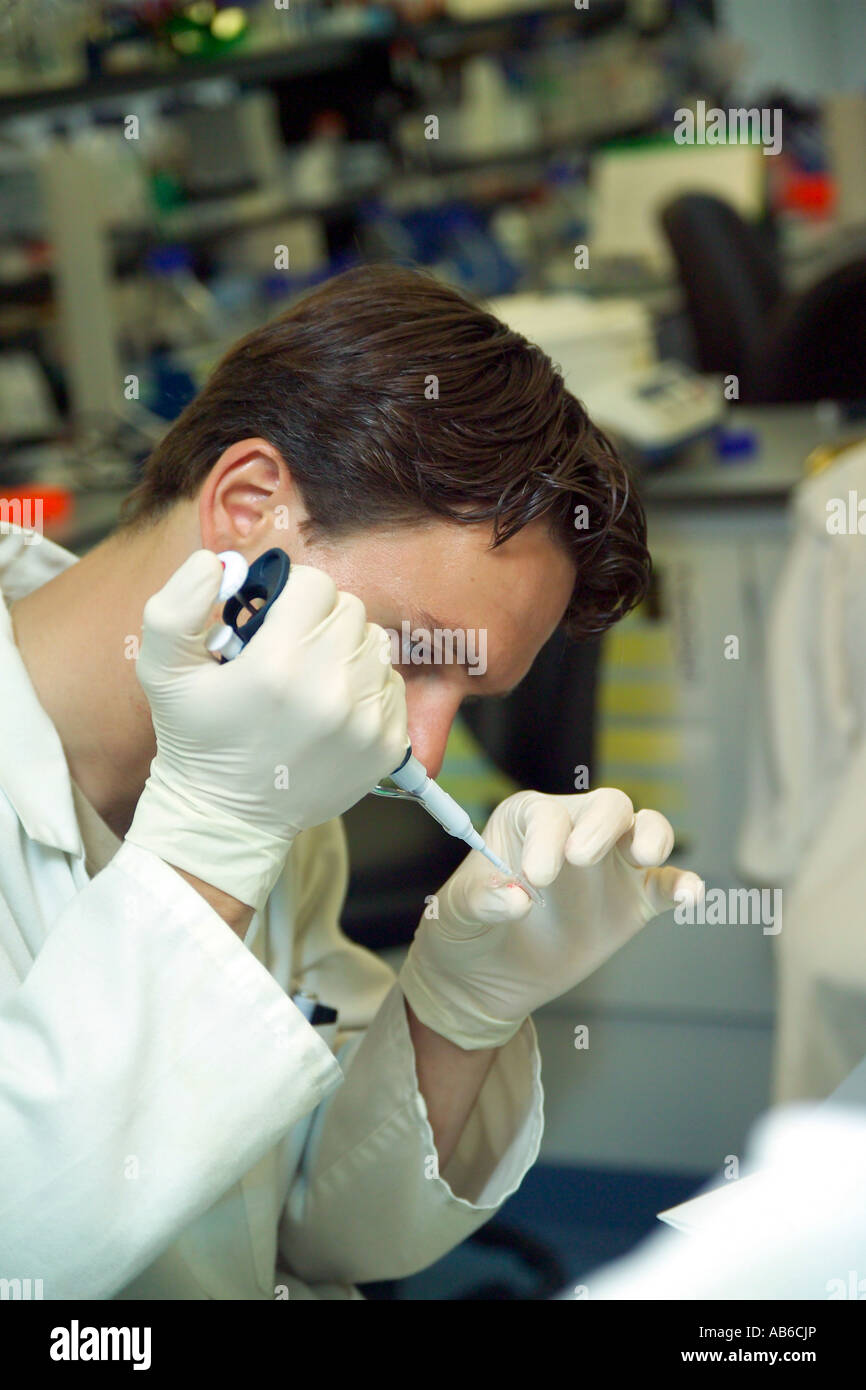 National Health Service Stock Photo Alamy