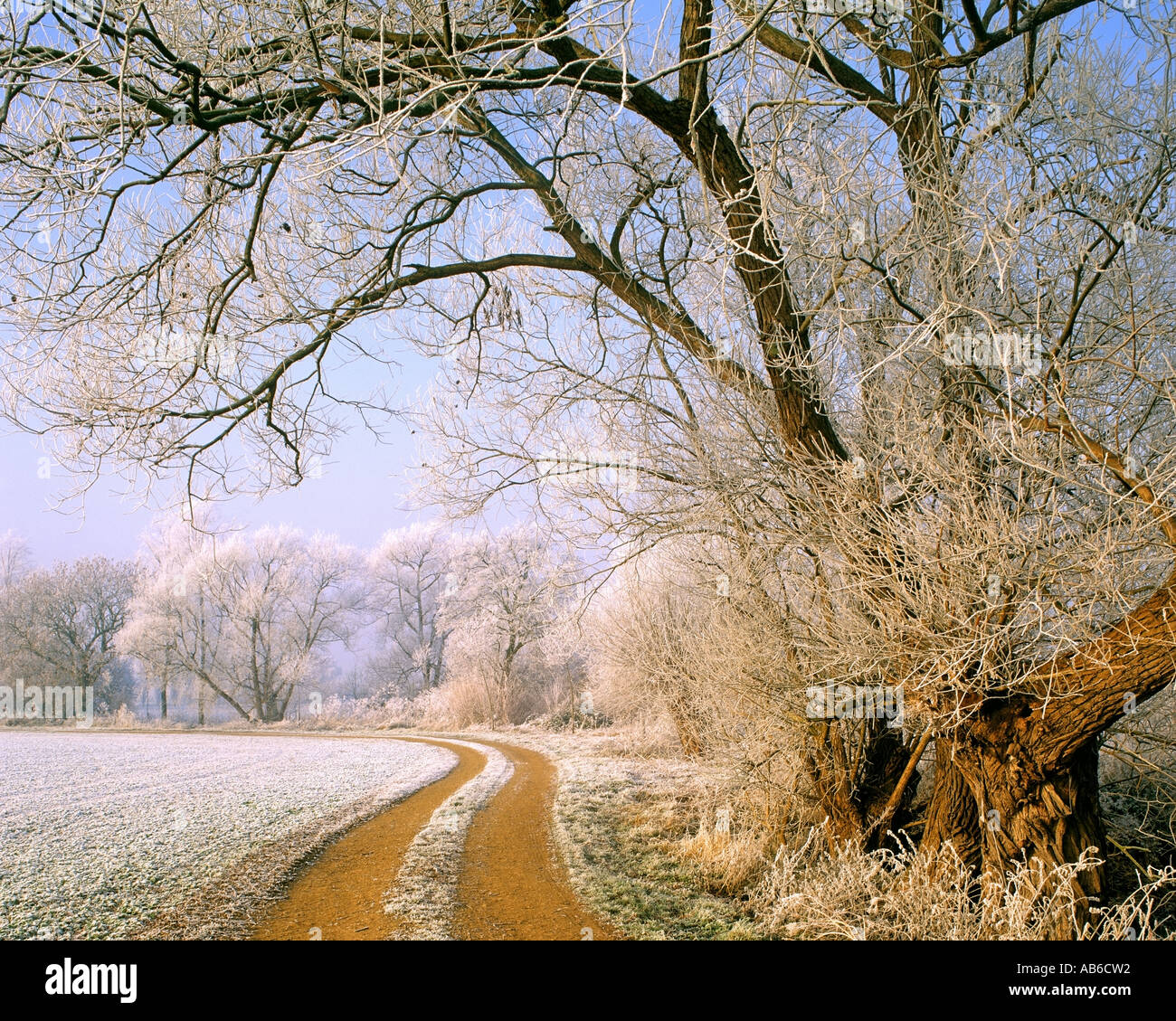 GB GLOUCESTERSHIRE Winter Scene in the Cotswolds Stock Photo