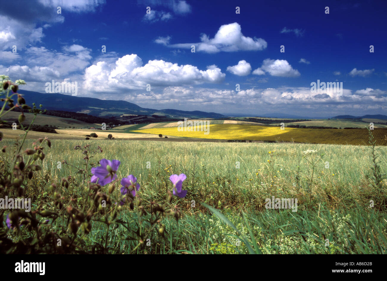 The countryside in northeastern Slovakia. Stock Photo