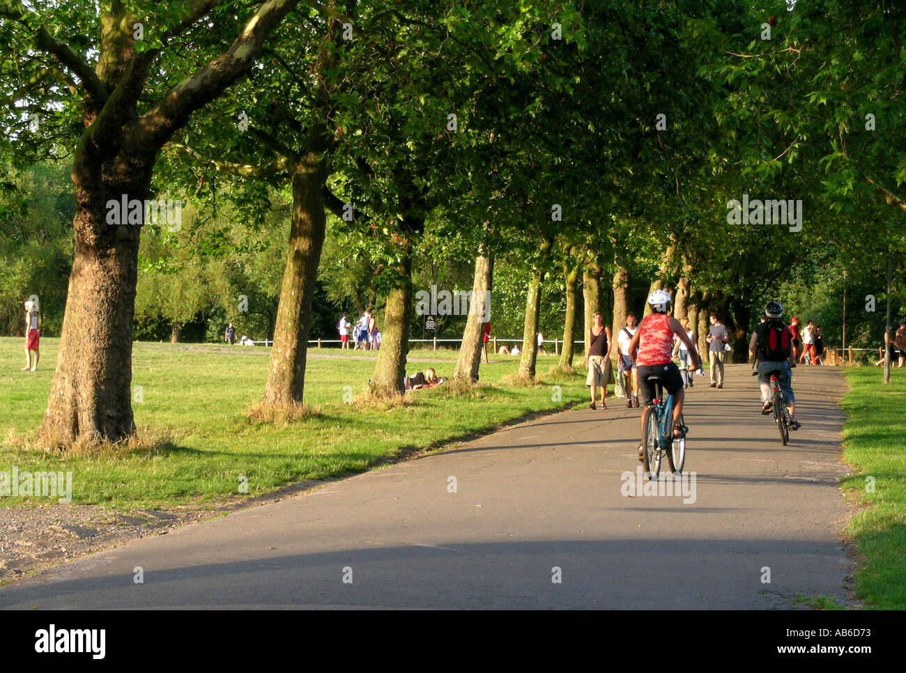 Cyclists in summer on Hampstead Heath in London England Stock Photo