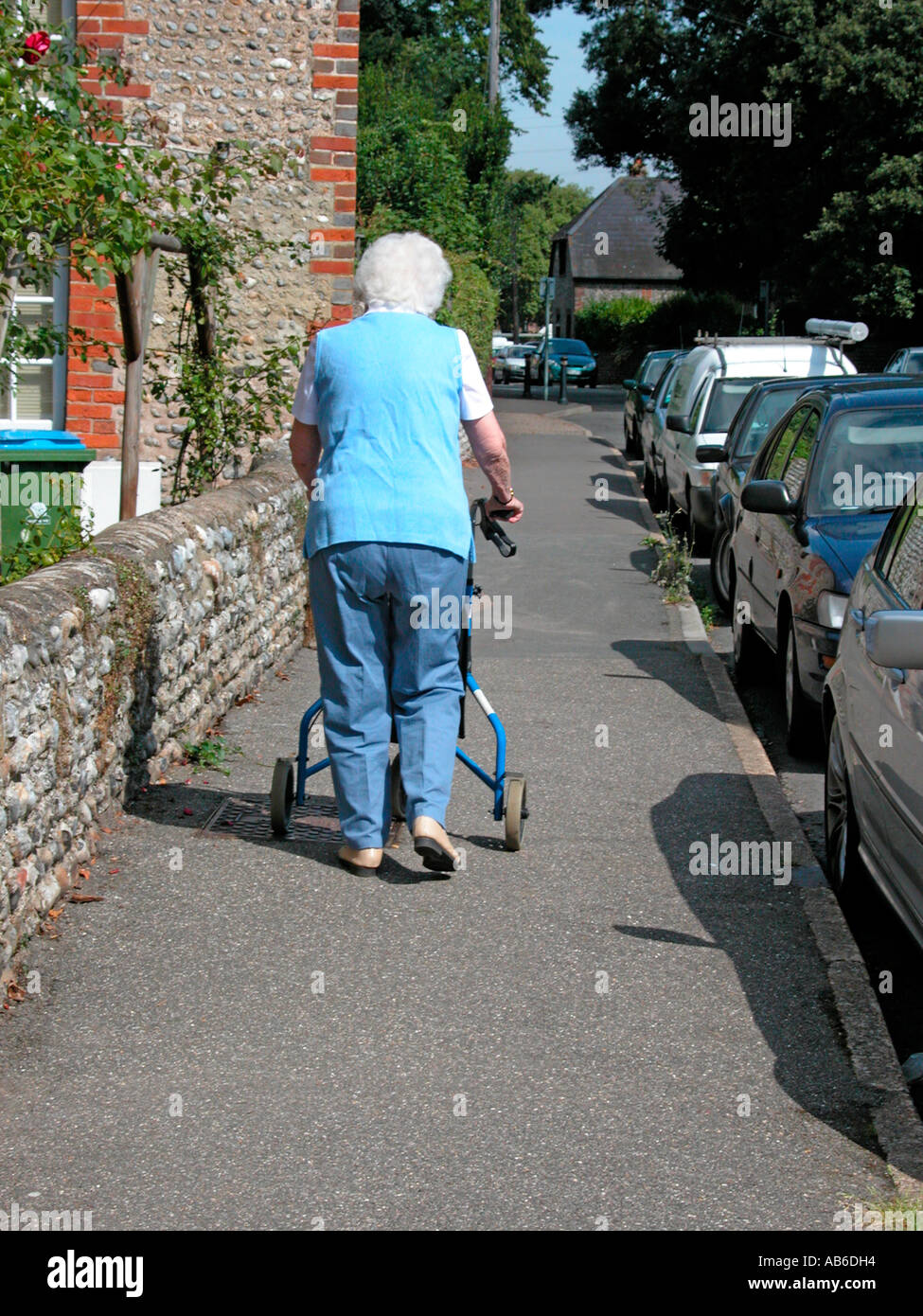 vulnerable partially disabled elderly woman using wheeled frame walking