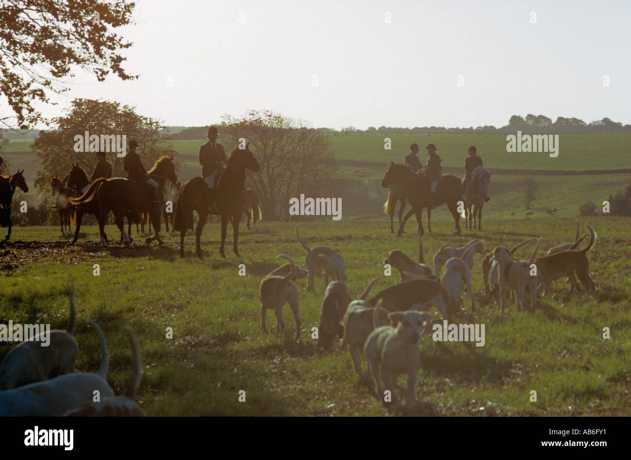 Early morning start to fox hunt in the Cotswolds village of Hazleton Gloucestershire Stock Photo