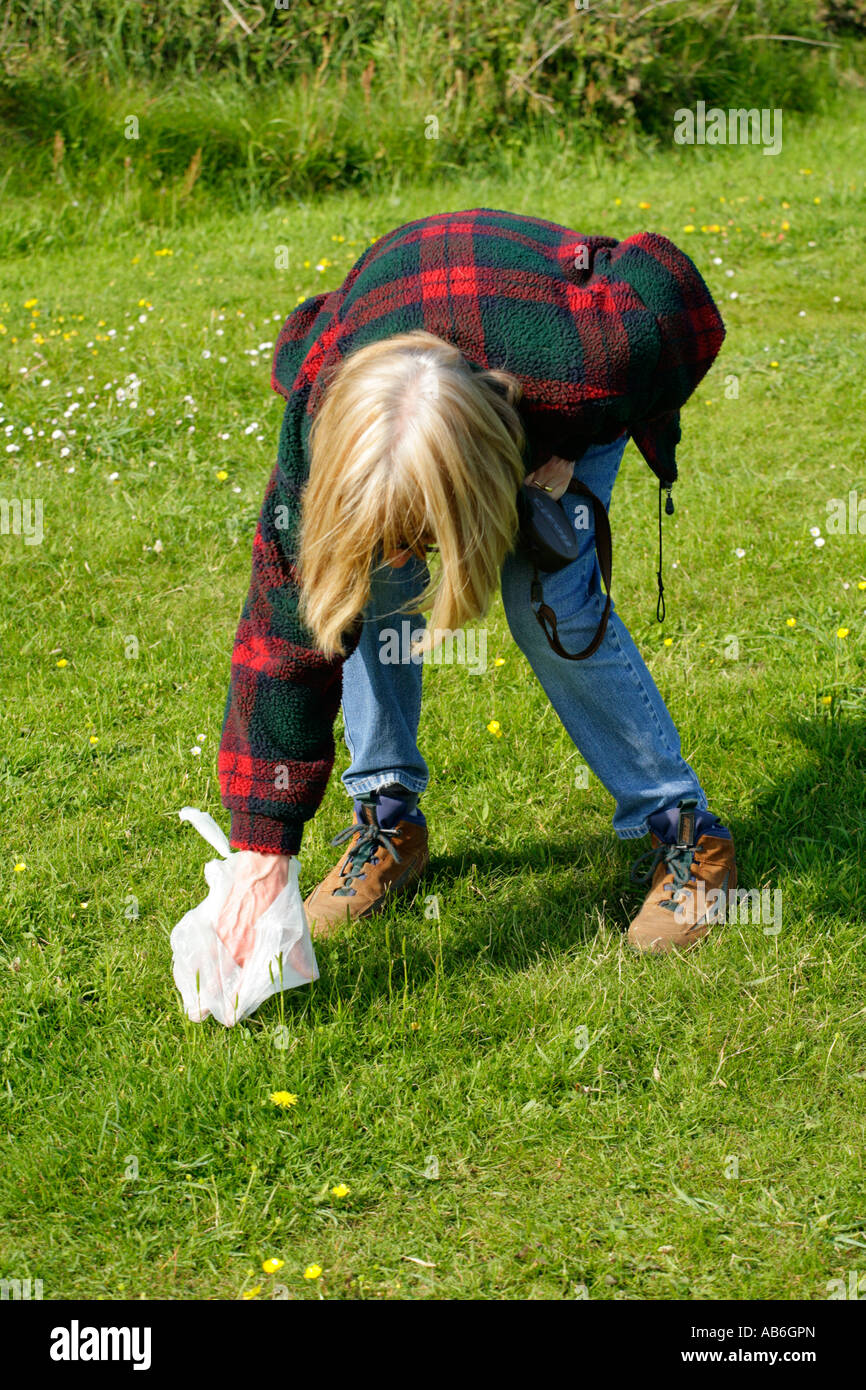 Female person picking up dog excrement in bag in parkland Stock Photo