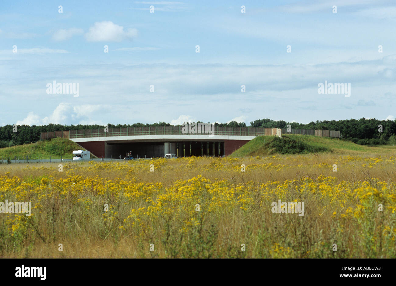 Bridge in nature hi-res stock photography and images - Alamy