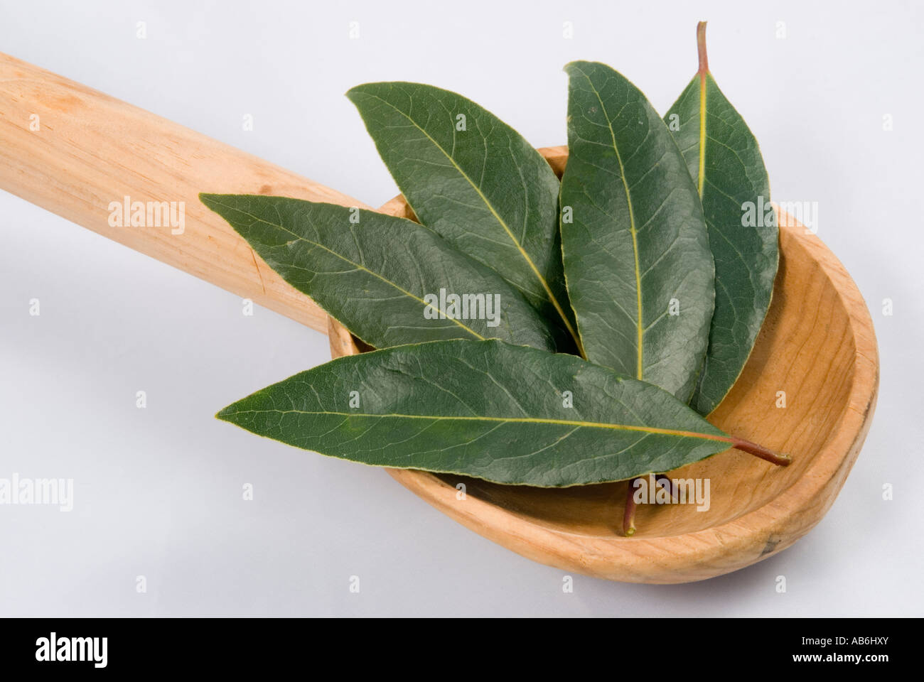 Bay leaves laurus nobilis on a Portuguese wooden spoon Stock Photo Alamy