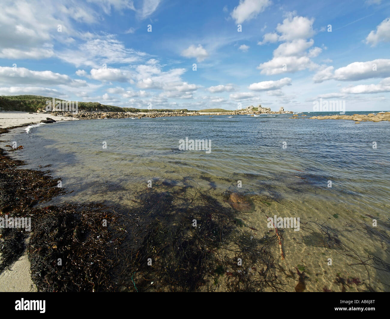 alga seaweed on beach landscape with granit rocks at the coast near ...