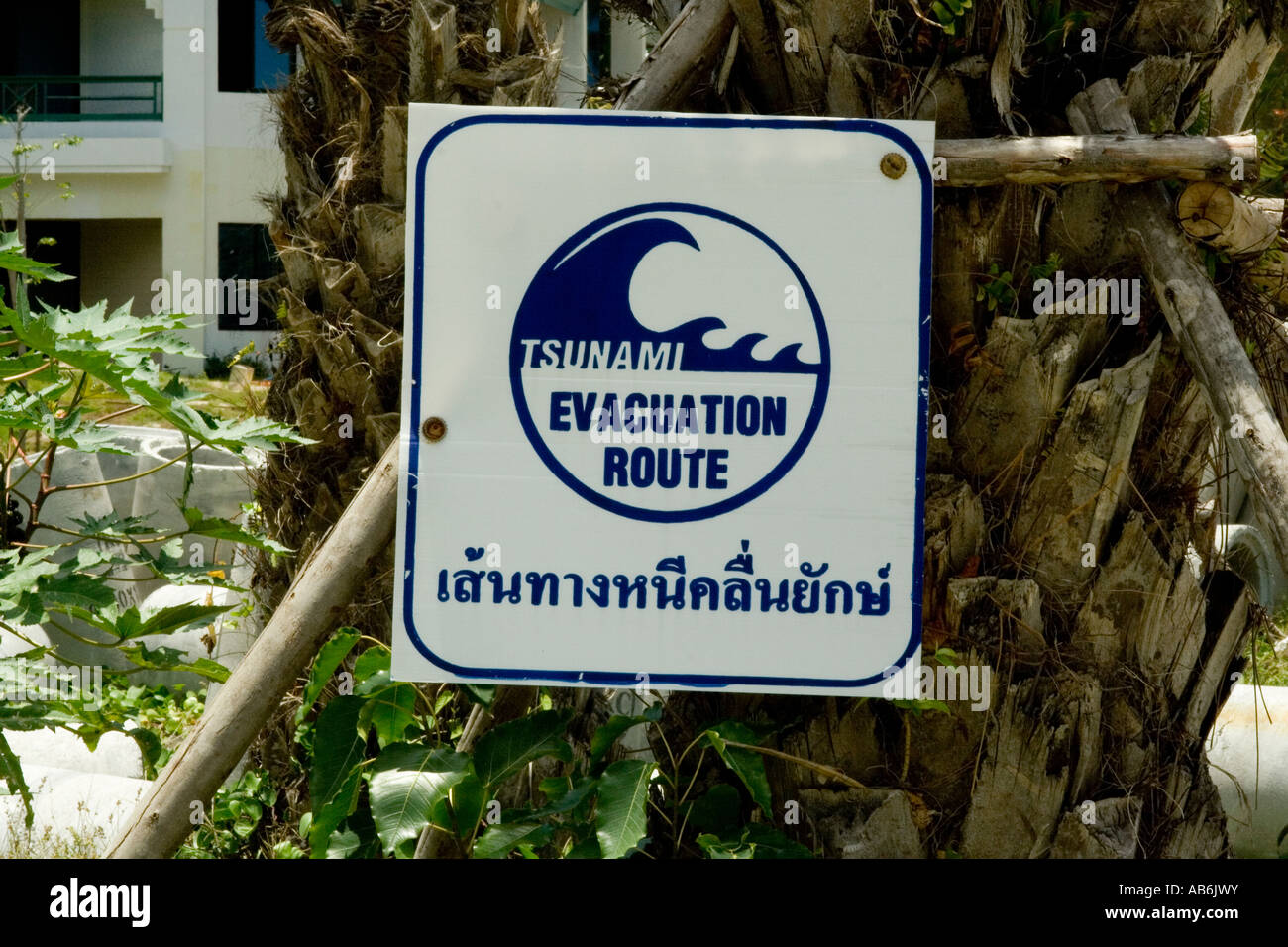 Tsunami warning koh phi phi