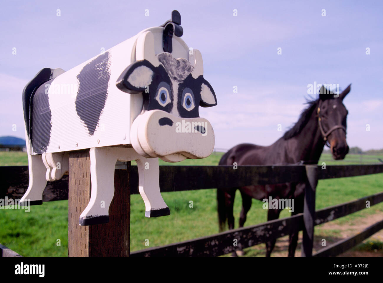 Juxtaposition - Artistic Folk Art Cow Mailbox and Black Horse, Pasture, Fraser Valley, Southwestern BC, British Columbia, Canada Stock Photo
