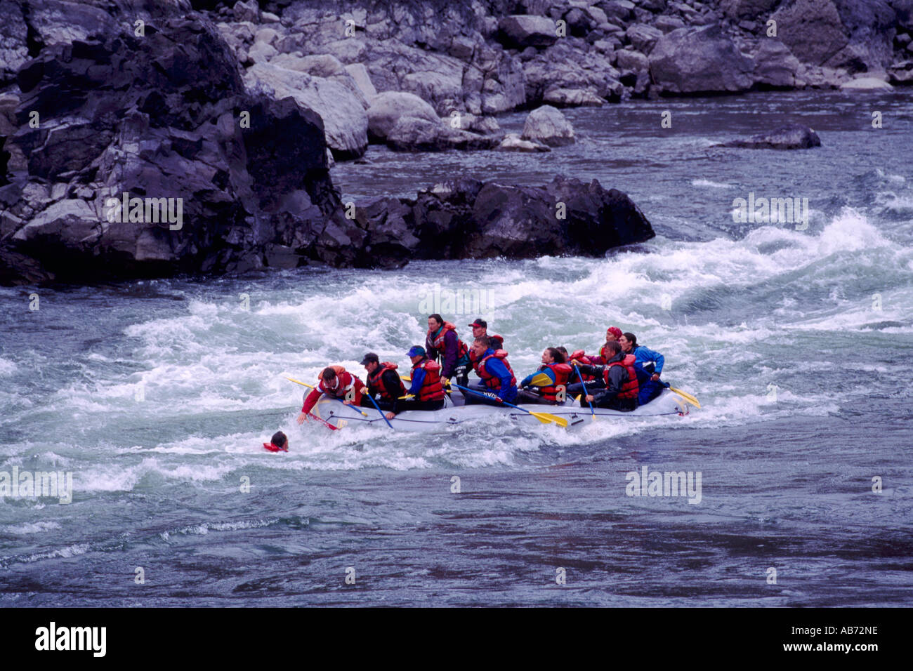 Thompson River near Lytton, BC, British Columbia, Canada - Man overboard in White Water / Whitewater Rafting Accident Stock Photo