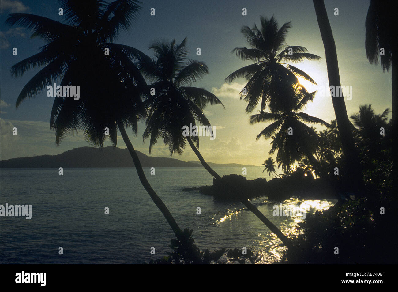 Seychelles tropical beach with palm trees in the evening Stock Photo