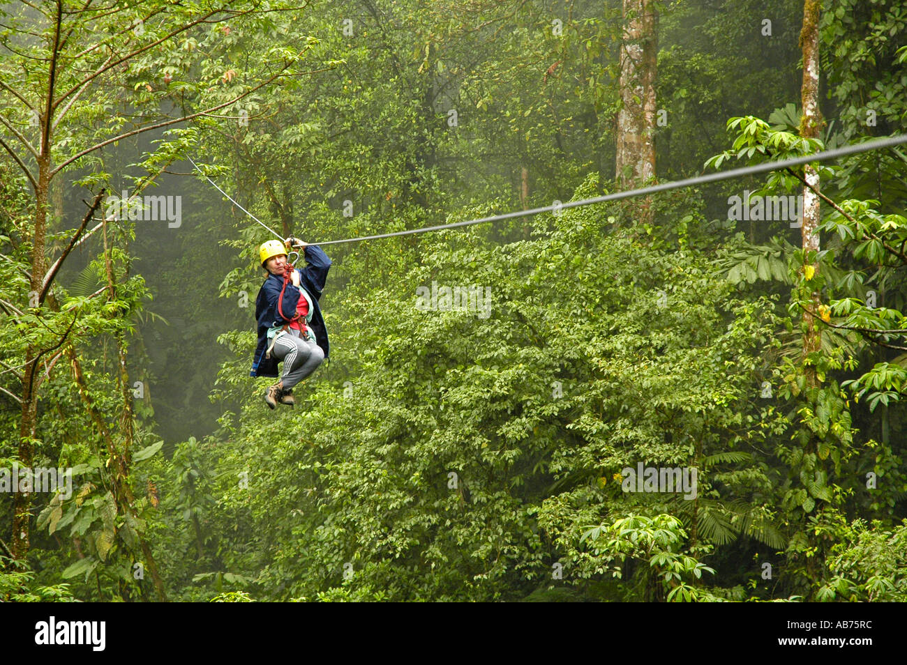 Tourist arriving to platform on a canopy cable ride, Monteverde, Santa  Elena, Costa Rica, Central America Stock Photo - Alamy