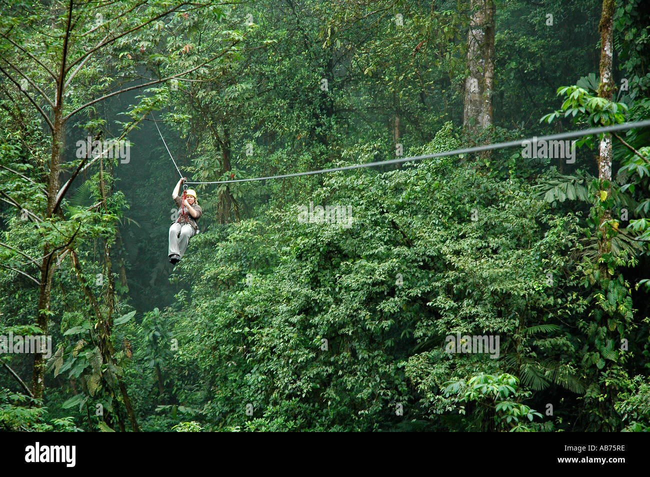 Tourist arriving to platform on a canopy cable ride, Monteverde, Santa  Elena, Costa Rica, Central America Stock Photo - Alamy