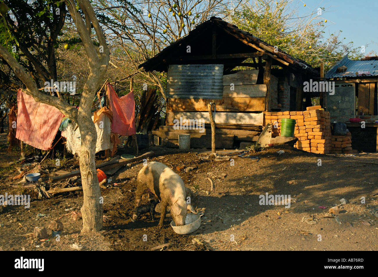 House Of Poor Nicaraguan Family On Ometepe Island Nicaragua Central Stock Photo Alamy