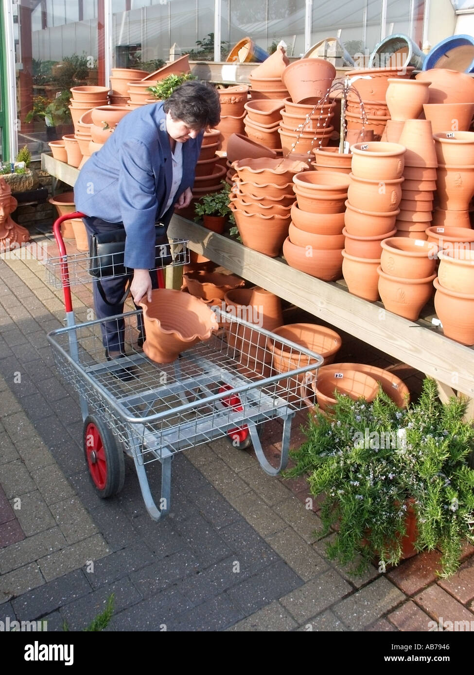Harlow Essex garden centre 61 sixty one year old lady selecting garden pots Stock Photo