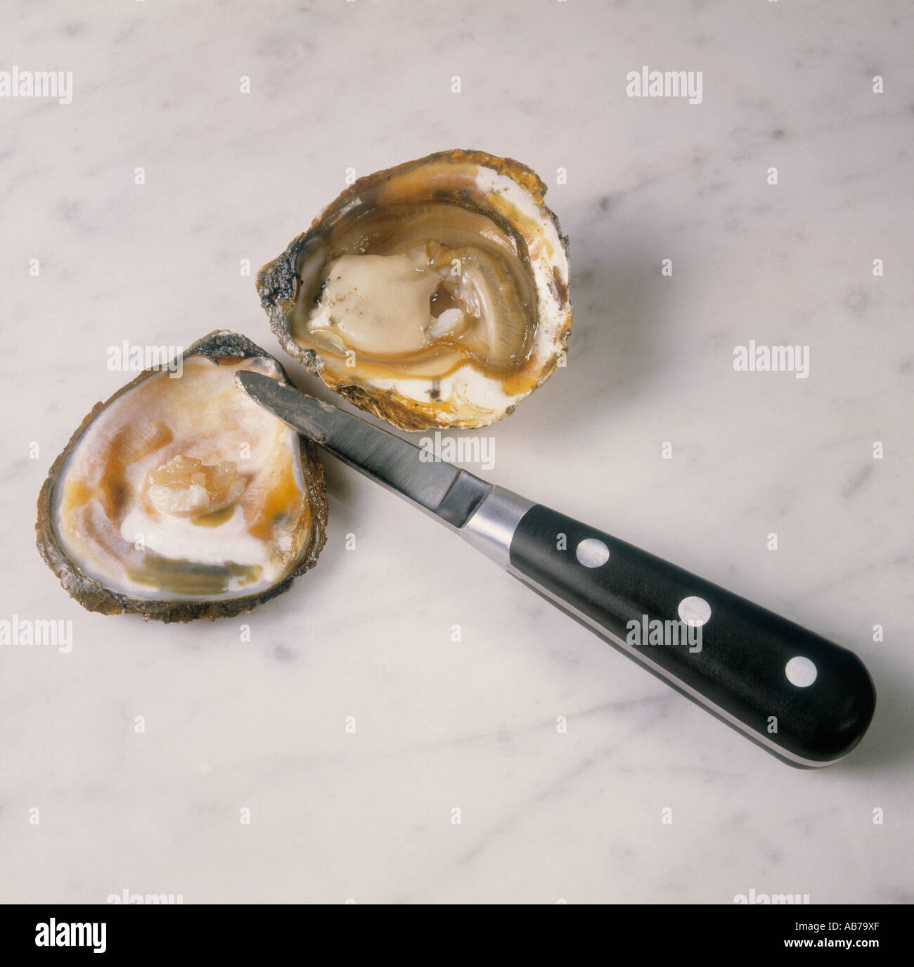 Oyster with oyster knife Stock Photo Alamy