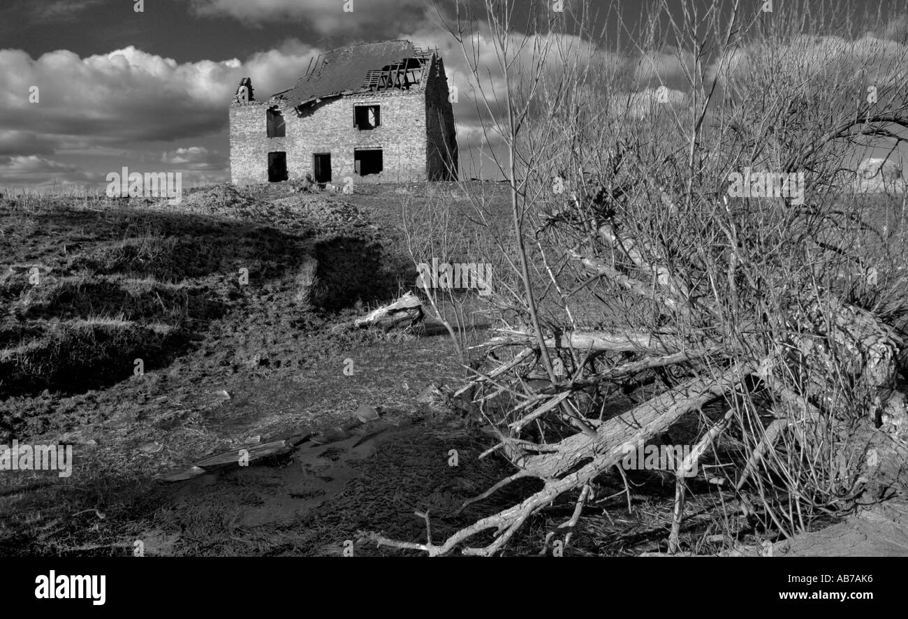 Black and white mono hi-res stock photography and images - Alamy
