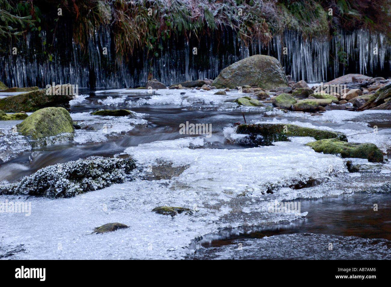 Frozen river,Hamsterley forest Stock Photo