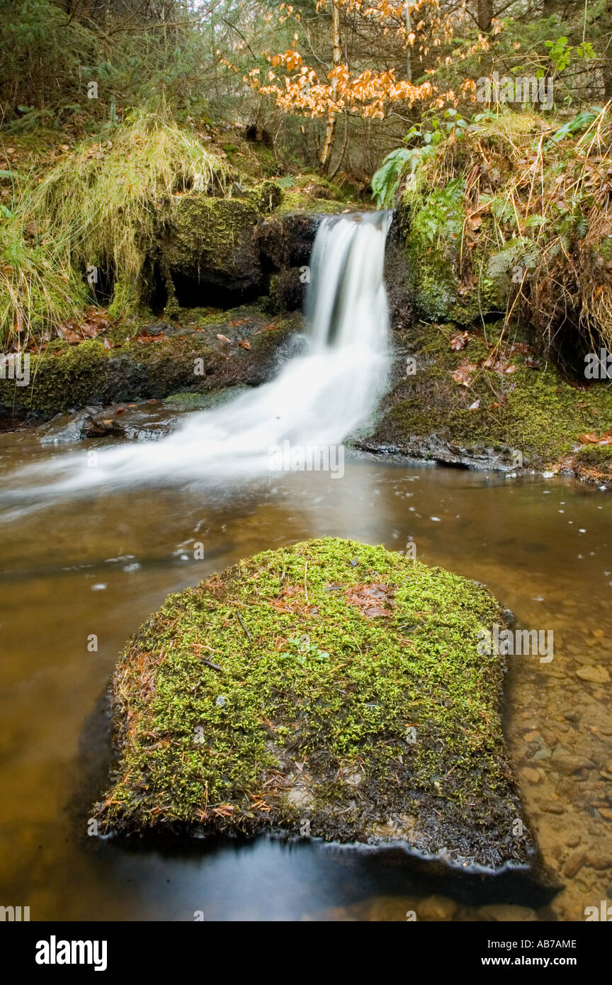 Water scene at Hamsterley Forest ,northern england. Stock Photo