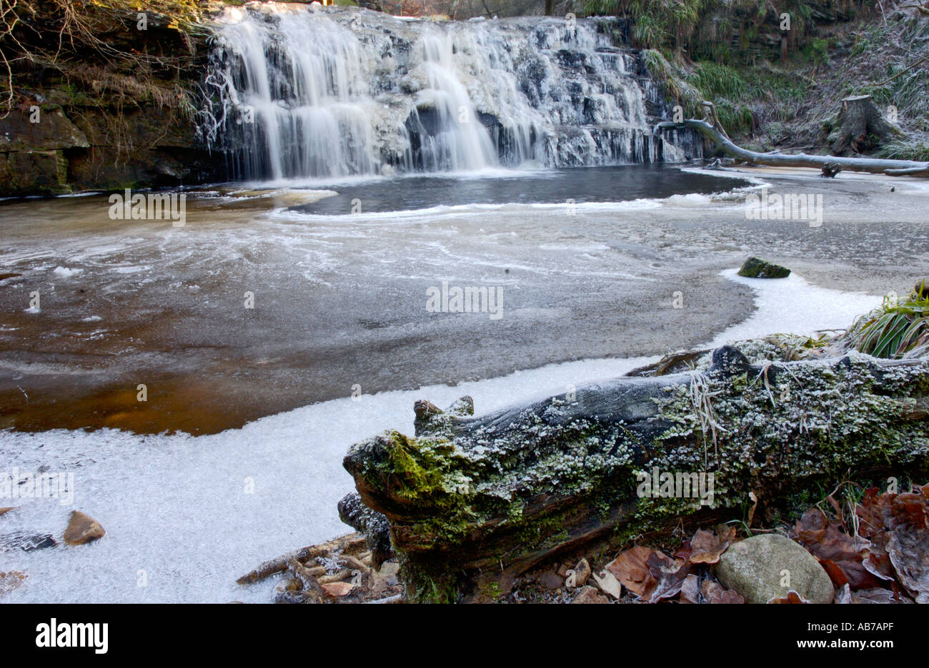 Hamsterley forest winter hires stock photography and images Alamy