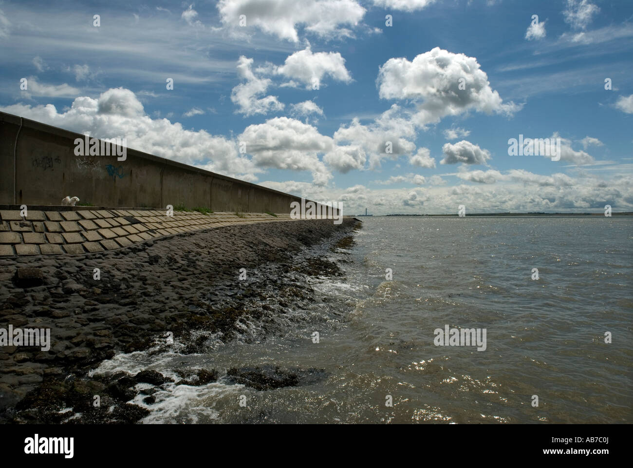CANVEY ISLAND ESSEX ENGLAND THE SEA WALL FLOOD DEFENCES AND DOG 2007 ...