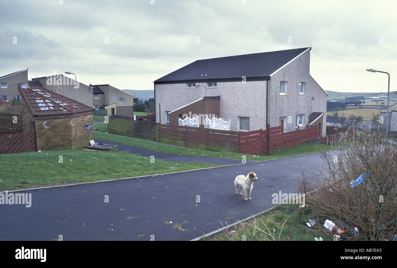 Derelict housing on the Penrhys Estate in the Rhondda Valleys south