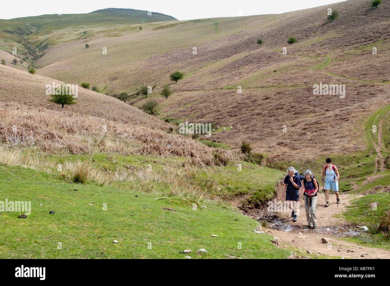 Guided walking group on footpath to Sugar Loaf mountain Abergavenny