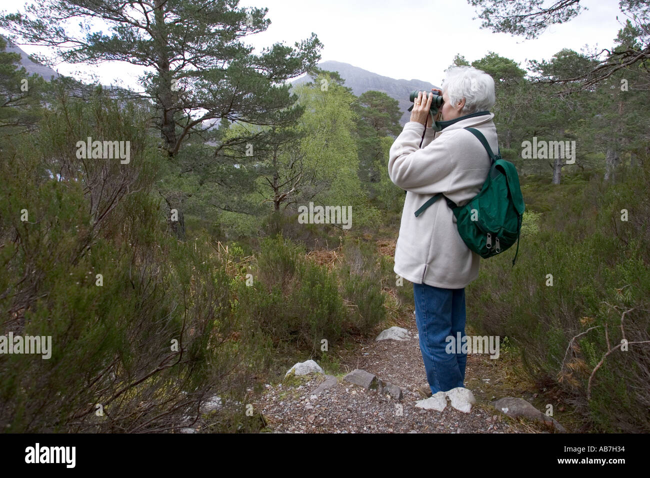 Bird watching on mountain trail Beinn Eighe Nature Reserve Scotland Stock Photo