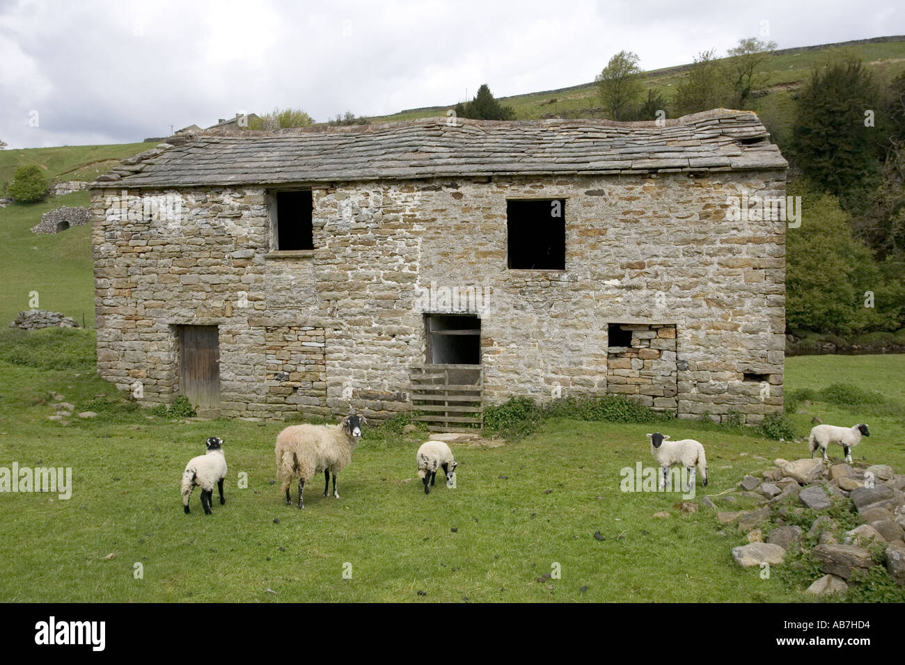Old Shepherds Stone Cottage North Yorkshire National Park Uk Stock