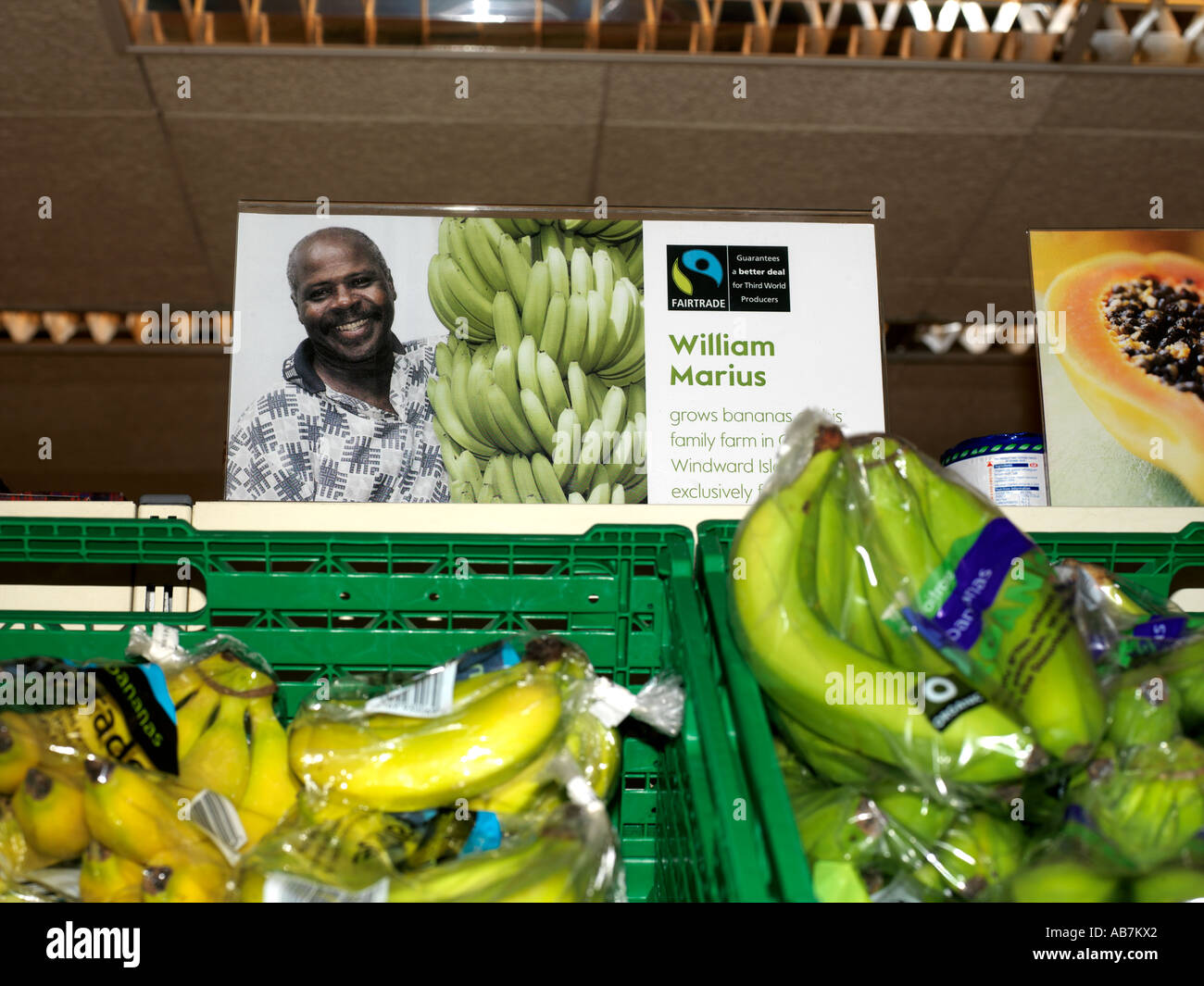 Fairtrade bananas in waitrose supermarket hires stock photography and