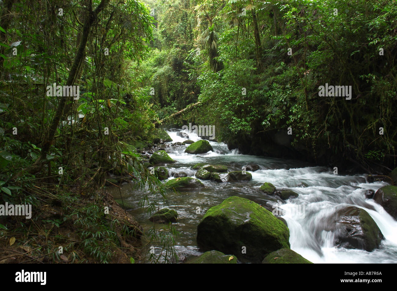 Close up river costa rica hi-res stock photography and images - Alamy