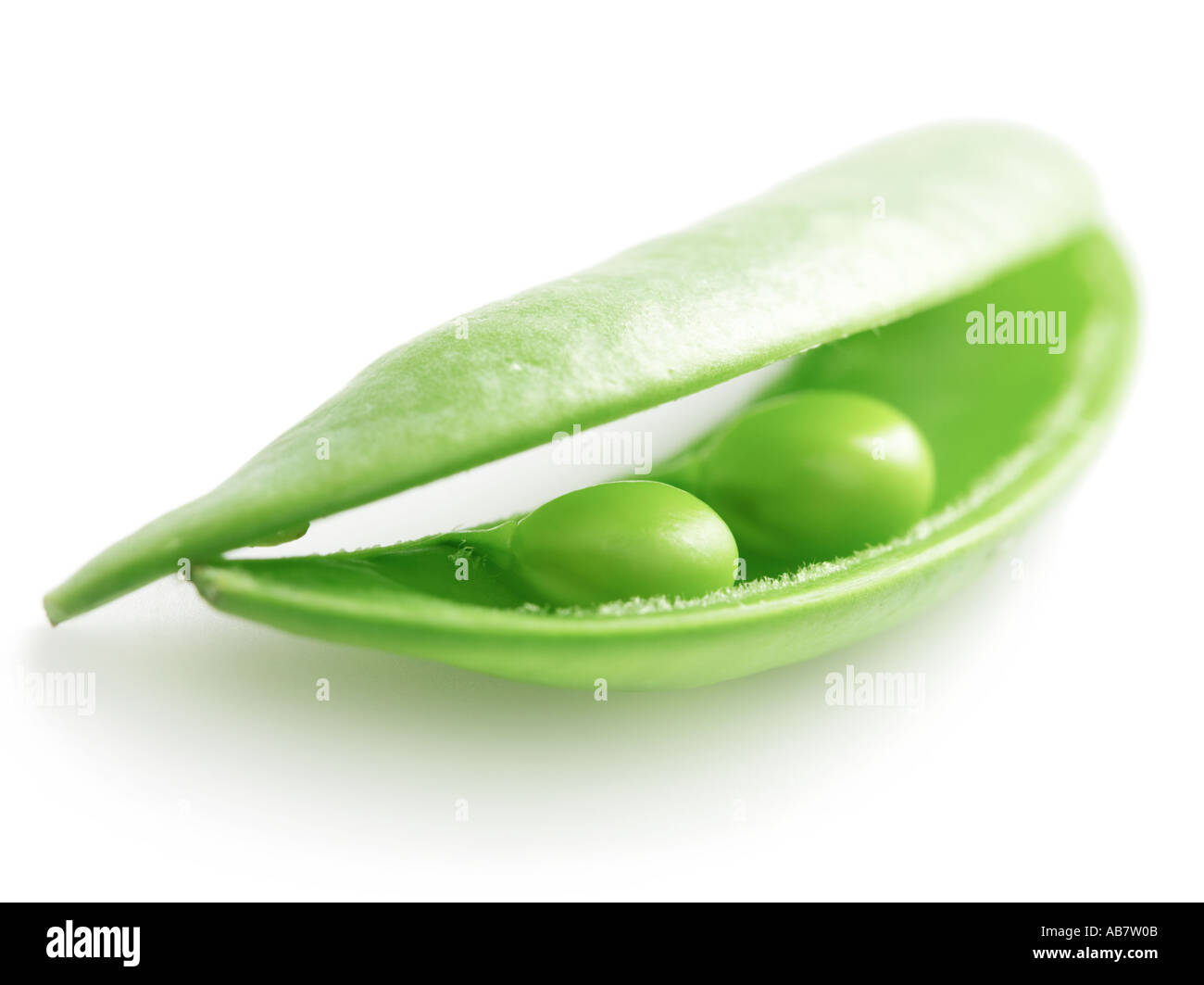 Two peas in a pod concept white background Stock Photo